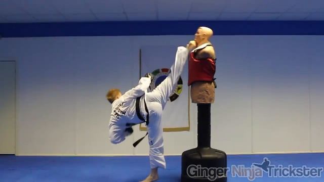 Taekwondo Kicking & Training Sampler on the BOB XL смотреть онлайн