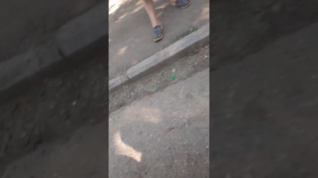 Злая бабка:0