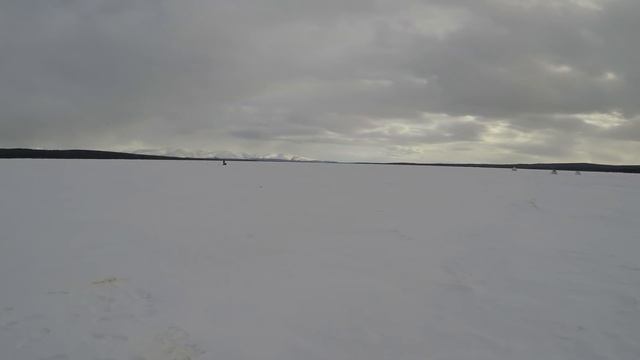 ЛОВИМ СИГА НА ОЗЕРЕ / WE CATCH WHITEFISH IN LAKE смотреть онлайн