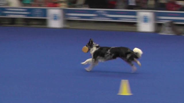 Обидиенс. Показательные выступления сборной команды России 2015 г. смотреть онлайн