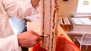 Пресс для мёда | ПанПасека