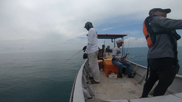 ULTRA LIGHT MICRO LIGHT JIGGING TEKNIK PANCINGAN YANG BUAT IKAN MARAH SHIMANO STRADIC SENSES смотреть онлайн