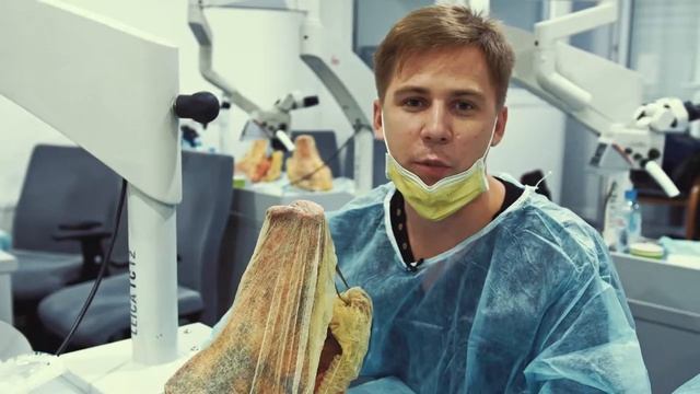 Как стоматологи оказывают первую неотложную помощь? / Отчет о курсе смотреть онлайн