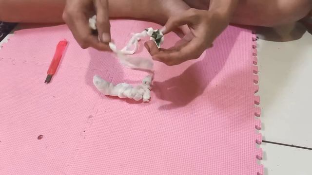 Unboxing Sansevieria Samurai Salaf Variegata Dari Ocet Malang