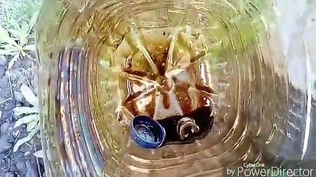 Бережная замена масла в рено логан, проверка на подлинность масла и фильтра смотреть онлайн