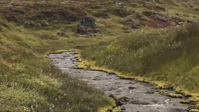 Р. Рождественский "Человеку надо мало..." смотреть онлайн