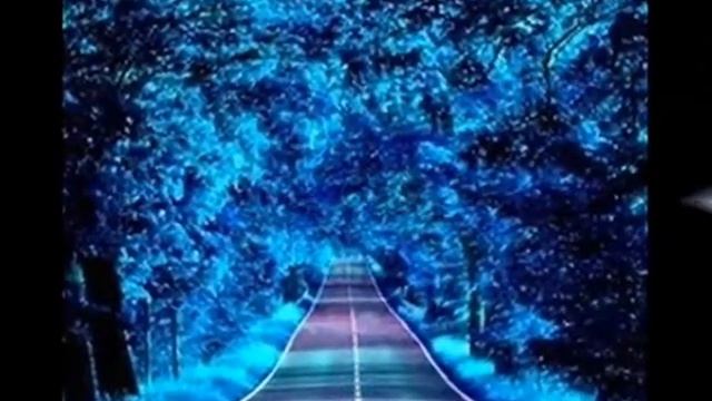 Пчела Дмитрий Николаевич смотреть онлайн