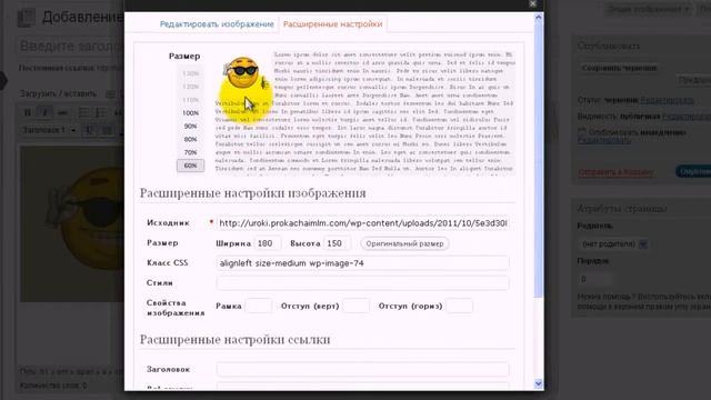 Как вставить текст, видео, картинку WordPress уроки смотреть онлайн