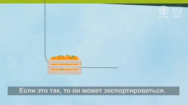 Стандарты по плодовым мухам могут помочь получить доступ к рынку смотреть онлайн