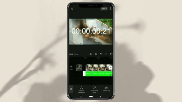 How to Add Speedrun Timer or Stopwatch or Time Lapse in CapCut