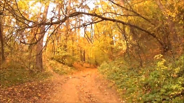 Путешествие в осенний лес часть 2 смотреть онлайн