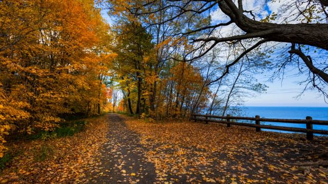 Wolfgang Schneiderhan - Brahms - Violin Sonata No 3 in D minor, Op 108 смотреть онлайн