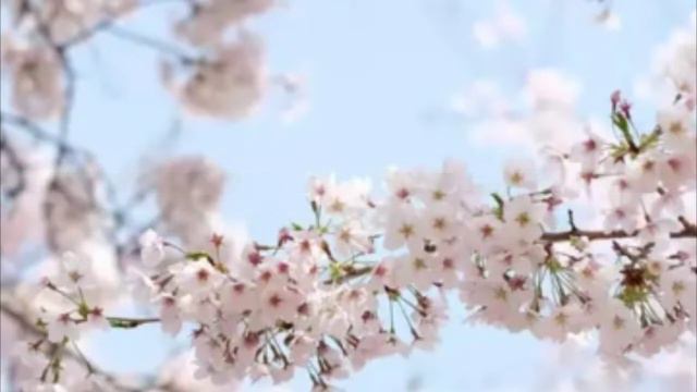 Сообщение #2 смотреть онлайн