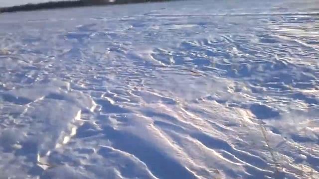 Езда на мотособаке смотреть онлайн