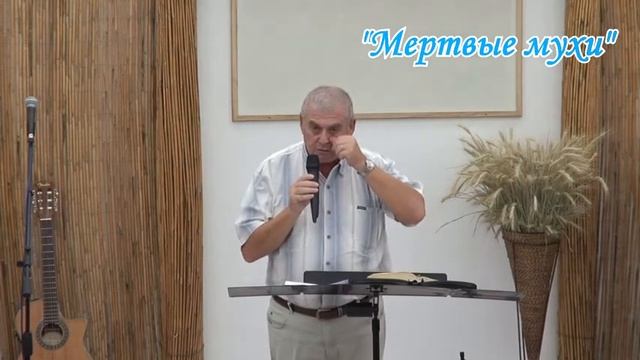 2014 09 20 Мертвые мухи (Марк Ашкенази) смотреть онлайн