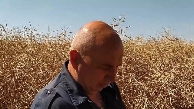 Дикий персик, заяц, тыквенное поле Обзор наших полей смотреть онлайн