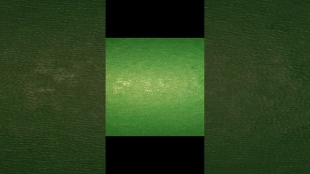 Анекдот. Студент и колонна 58745