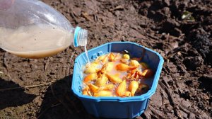 Замочите лук севок в этом перед посадкой и головки будут очень крупными а мучнистой росы не увидите!