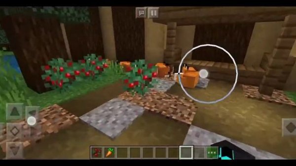 Minecraft fox sanctuary with cozy sleeping foxes.