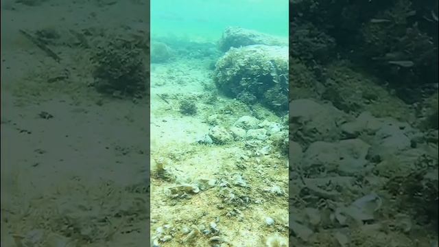 Sicilian Rocky Sea смотреть онлайн