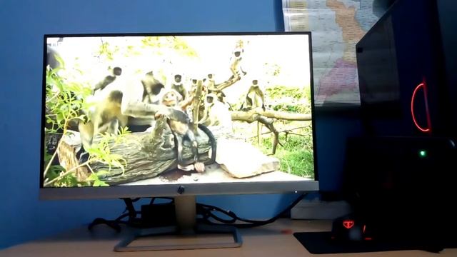 HP 22F 21.5 Inch IPS Gaming Monitor Unboxing And Review||Best Value For Money Gaming Monitor?? смотреть онлайн