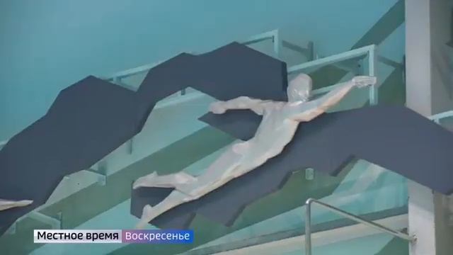 Как повлияет запуск Дворца водных видов на развитие спорта в городе смотреть онлайн