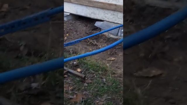 Как я укротил бур смотреть онлайн