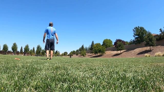 Chuckit! Ultra Ball Review смотреть онлайн