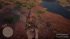 Где найти редкого тигрового мустанга в rdr 2