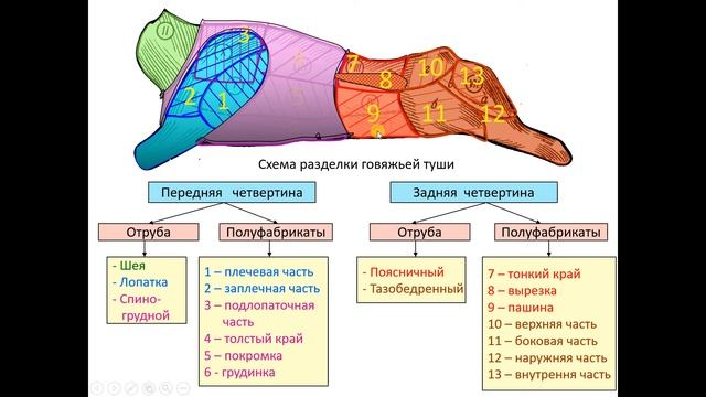 Проводить разделку говяжьей туши на полутуши и четвертины смотреть онлайн