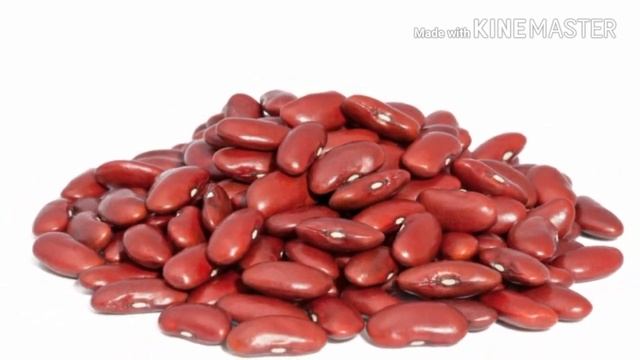 Top 6 nutritional grains to gain muscle in tamil смотреть онлайн