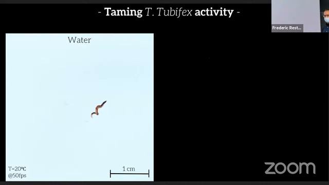 Séminaire Antoine Deblais смотреть онлайн