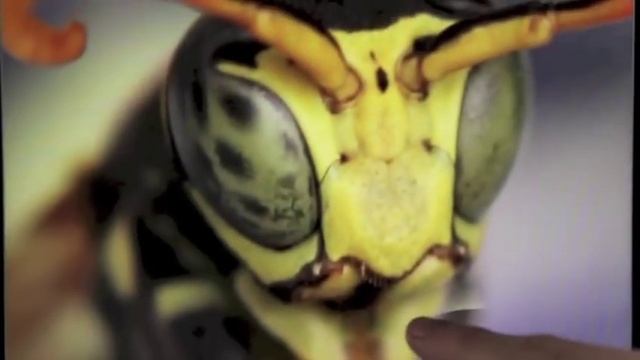 CamRanger Wireless DSLR Camera Control смотреть онлайн