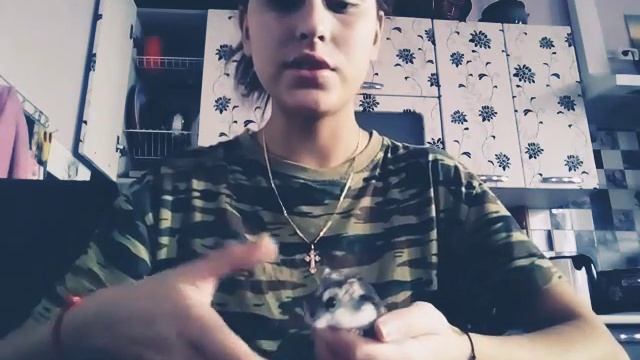 Что делать если у хомячка гноится глазик ? смотреть онлайн