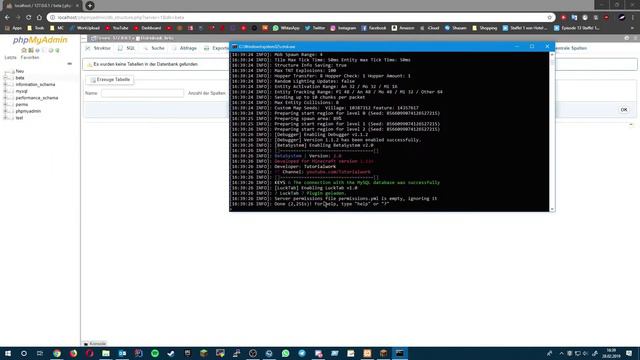 BetaKey System🔑 | Plugin Vorstellung | Free Download⬇ смотреть онлайн