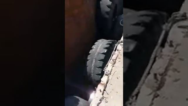 Транспортировка живого кита смотреть онлайн