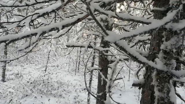 Ловим окуня. Жарим сало. Простая зимняя рыбалка смотреть онлайн