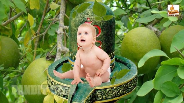 बेल के बीजों से पुत्र प्राप्ति || Ladka Paida Karne Ke Upay || Get Pregnent With Baby Boy смотреть онлайн