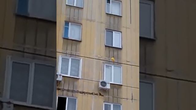 Если алкаша за крыли дома то на помощь придут друзья)))))) смотреть онлайн