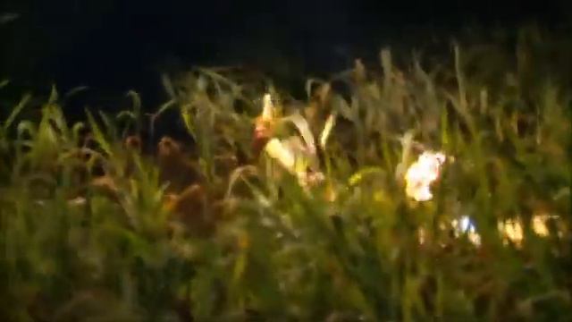 Здесь стоит побывать раз в жизни Бразилия смотреть онлайн