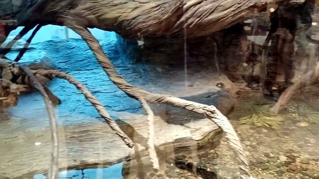 Магазин | Shop смотреть онлайн