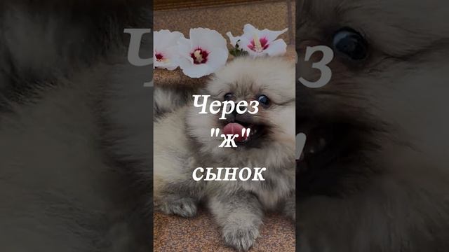 Как правильн писать? смотреть онлайн