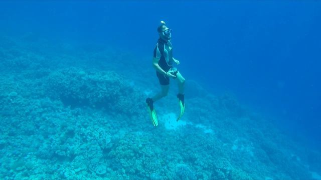 Soma Bay Snorkel смотреть онлайн