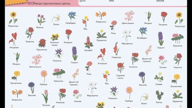 Тетрадь Kumon "Найди пару. Уровень 2" смотреть онлайн