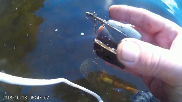 Лесная дорога, подводный коп смотреть онлайн