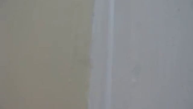 Pholcus phalangioides 1 смотреть онлайн