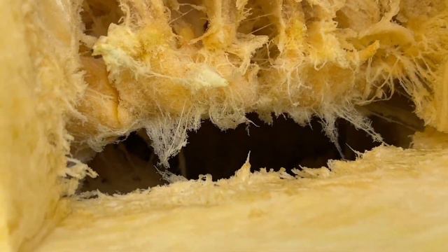 Тыква смотреть онлайн