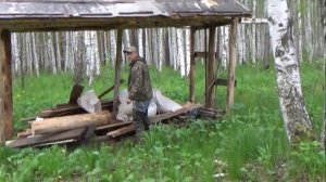 Как и чем подкармливать кабанов летом. Биотехния для кабанов