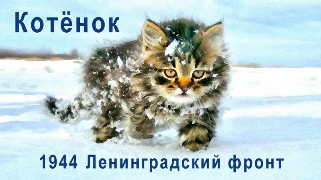 Котёнок. 1944. Ленинградский фронт смотреть онлайн