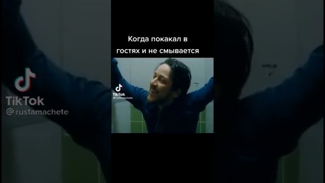 когда покакал в гостях и не смывается... смотреть онлайн